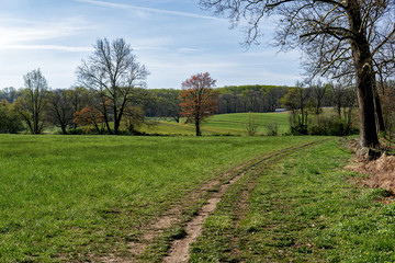 Landscapes near my home