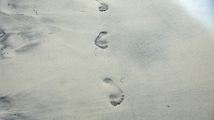 Footprints on caribbean beach