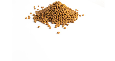 Above or Top view of animal food. Brown Dried dog food on white background. Grain pet food banner background with copy space for text design.