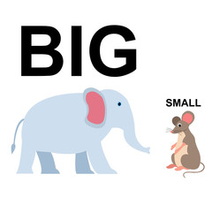 Big and small comparison kids vector illustration design