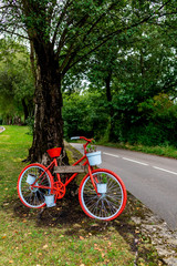 Obraz premium A picturesque and beautiful red ornament bicycle on a tree by the side of a road