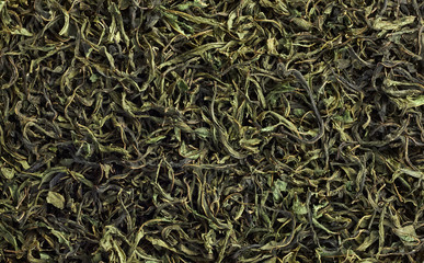 Handmade green tea made of fermented blooming sally herb, background texture, flat lay, overhead top view from above, closeup