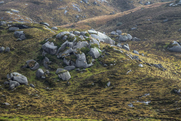 Green Pastures and Gray Granitic Rock