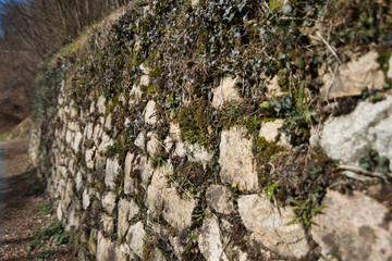 dry wall with plants, country landscape