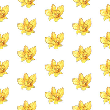Marker seamless pattern with yellow golden vanile flower. Design for textile, fabric, wrapping, scrapbooking. poster, card, wedding, wallpaper, invitation