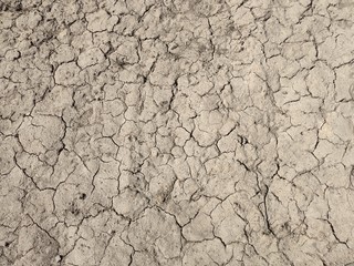 Dried mud. Desert top view. The texture of dried mud.
