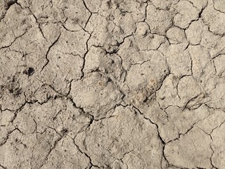 Dried mud. Desert top view. The texture of dried mud.