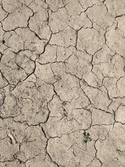 Dried mud. Desert top view. The texture of dried mud.