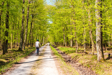 Young woman tourist cycling on road in forest on sunny spring day in Puszcza Niepolomicka near Krakow city, Poland