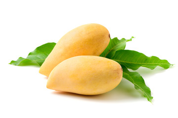 Delicious two ripe yellow mango with green leaf isolated