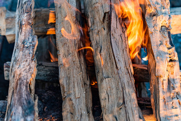 Closeup outdoor photo of burning firewood with bright flames