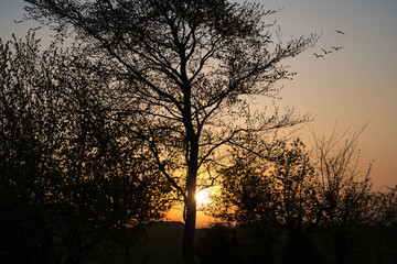 Ländliche Morgenidylle - Tagesanbruch, Sonnenaufgang in Bayern im Hintergrund der Hesselberg