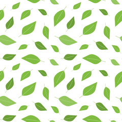 Cute tea leaves, fresh green leaves vector seamless pattern background.
