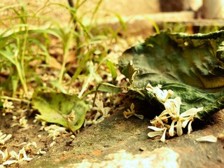 The beauty of nature