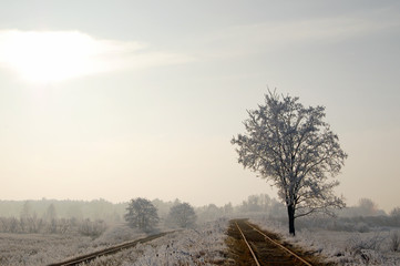 zimowy krajobraz wzdłuż torów © MarcinPapiernik