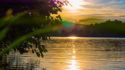 Wunderschöne goldene Herbstlandschaft bei Sonnenschein in Regensburg an der Donau