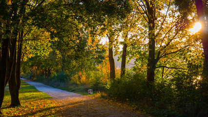Wunderschöne goldene Herbstlandschaft bei Sonnenschein in Regensburg