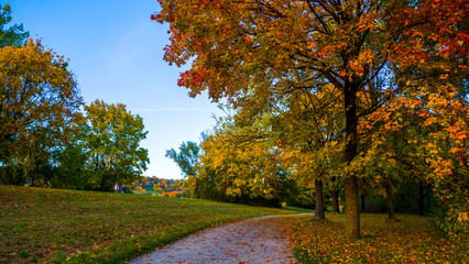 Naklejka premium Wunderschöne goldene Herbstlandschaft bei Sonnenschein in Regensburg