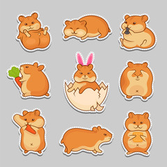 Set of vector illustrations of golden hamsters. Collection pets for stickers and prints. Cute characters for your design.