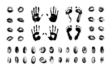 Vector set of textured, and grunge fingerprints, handprints, lip prints and footprints for your design. Collection of black templates on white background for illustrations about cybersecurity.