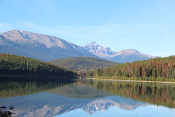 Early Morning Reflections On Lake, Jasper National Park, Alberta