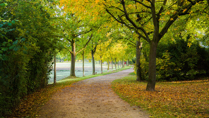 Wunderschöne goldene Herbstlandschaft bei Sonnenschein in Regensburg