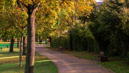 Naklejka premium Wunderschöne goldene Herbstlandschaft bei Sonnenschein in Regensburg