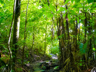 Manuel Antonio National Park, Quepos, Costa Rica