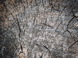 Wood background texture. Useful background with grounge style.