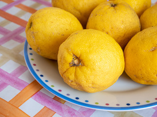 Close up of organic lemons in a colorful dish, on top of a table. Useful as a floral background.