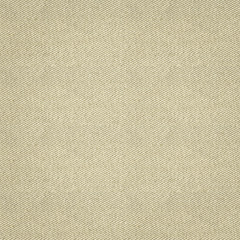 Paper texture for the background