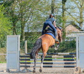 Amateur Springreiten als Leistungssport mit Hindernis