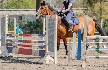 Amateur Springreiten als Leistungssport mit Hindernis