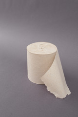 roll of toilet paper