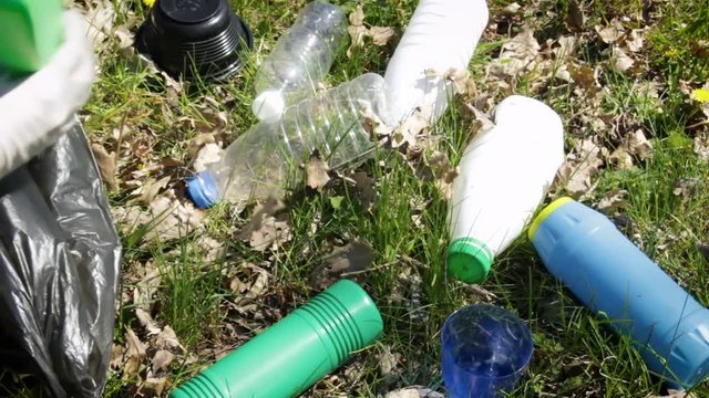 A young woman collects a plastic in the forest. Activist with black garbage bag in nature in the park. Concept about environmental conservation pollution problems. Ecology
