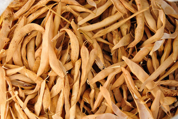 
beans dry bean pods. background