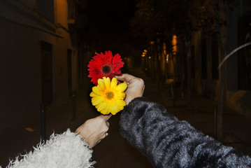 Human Hands Holding Flowers