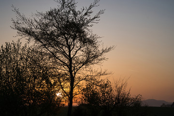 Obraz na płótnie Canvas Romantischer Sonnenaufgang, Sonnenuntergang auf dem Land - oranger Himmel, Bäume und Äste als Schatten, im Hintergrund der Hesselberg 