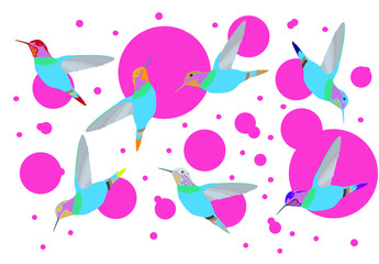 A background consisting of hummingbirds flying around. Light blue and pink colors. © Andrey