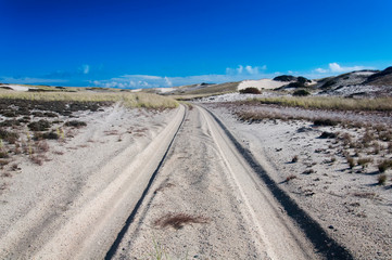 Cape Cod National Seashore Massachusetts sand dunes landscape