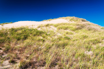 Cape Cod National Seashore Massachusetts sand dunes