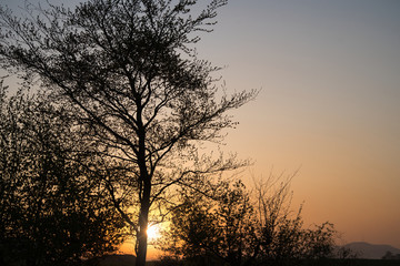 Romantischer Sonnenaufgang, Sonnenuntergang auf dem Land - oranger Himmel, Bäume und Äste als Schatten, im Hintergrund der Hesselberg
