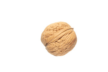 Single walnut is isolated on white background