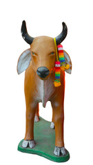 cow on white background