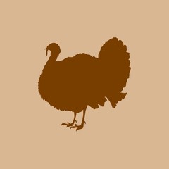 Turkey vector silhouette. Farm animal silhouette