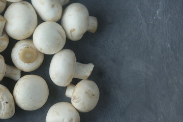 mushrooms on a grey background
