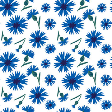 Pattern with scattered cornflowers and leaves, hand drawn vector background