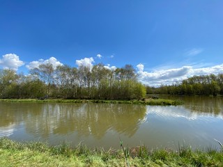 lake and forest