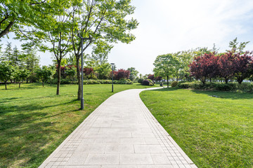 road in park