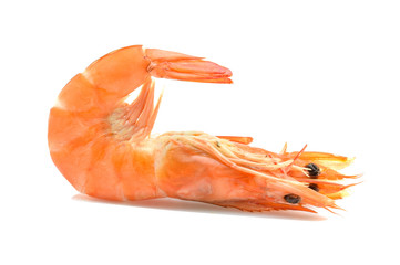 Shrimp steamed on white background.